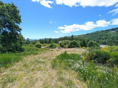 View 35