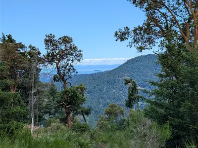 View 29