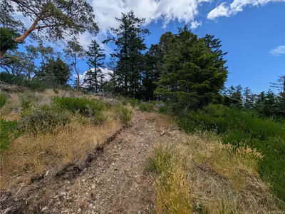 View 25