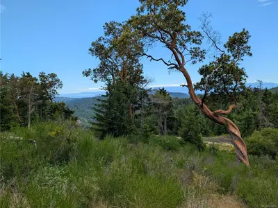 View 21