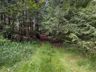 View 13
