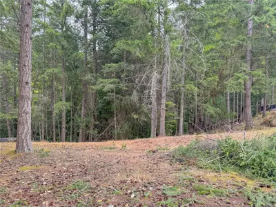 View 12