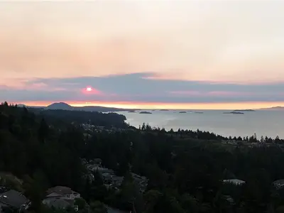 View 1