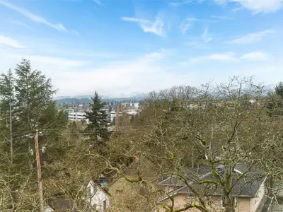 View 19