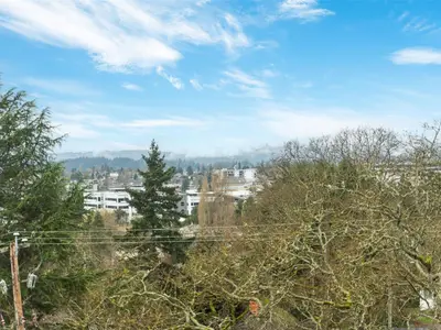 View 21
