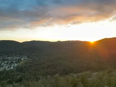 View 53