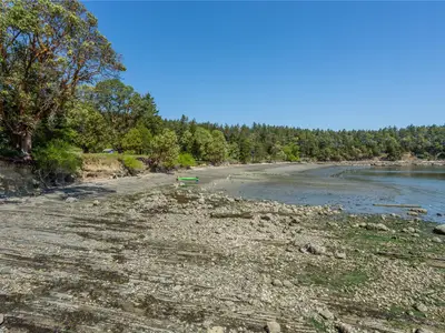View 14