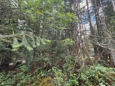 View 10