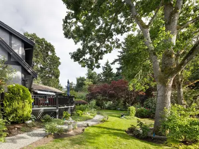 View 46