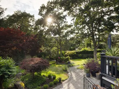 View 51