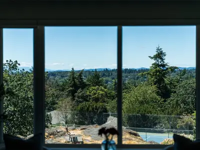 View 38