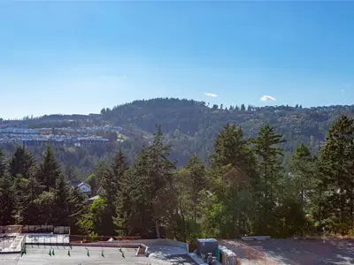 View 23
