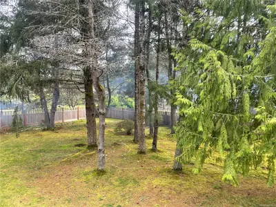 View 38