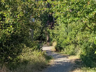 View 19