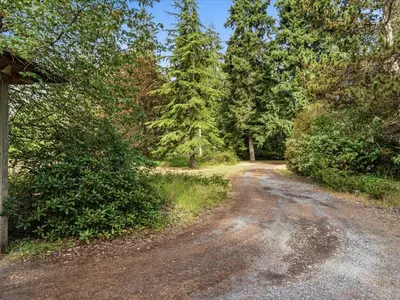 View 62