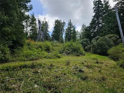 View 12