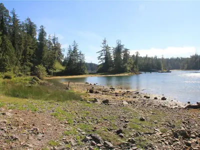 View 15