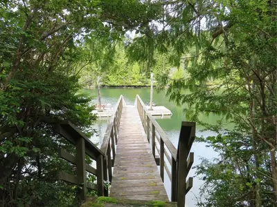 View 21