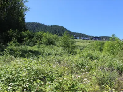 View 13
