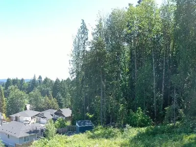 View 11