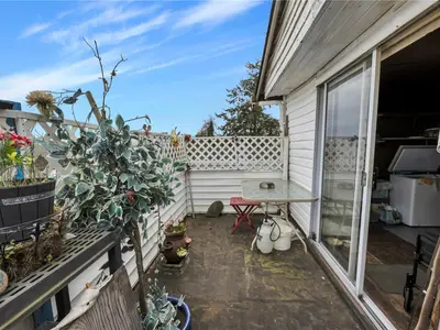 View 23