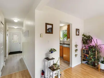 View 19