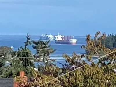 View 24