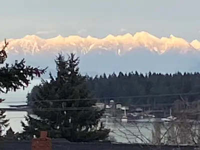 View 25