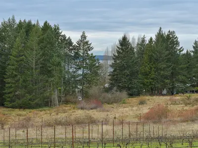 View 80