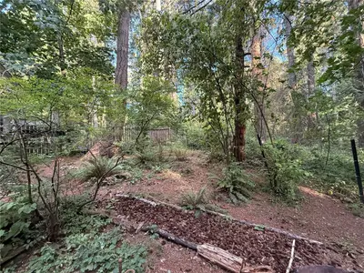 View 12