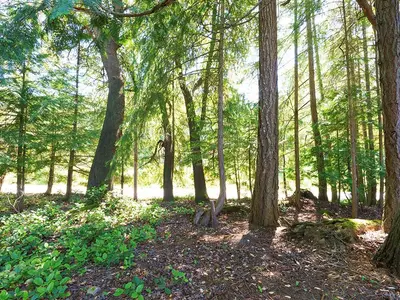 View 58