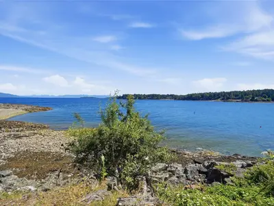View 50