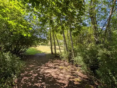 View 91