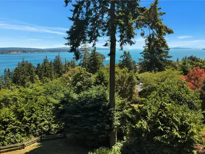 View 4