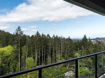 View 60