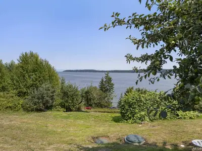 View 74