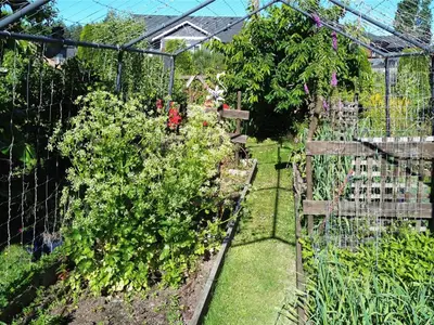 View 23