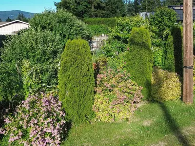 View 25