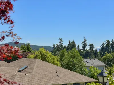 View 46