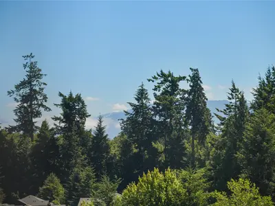 View 48