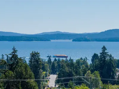 View 36