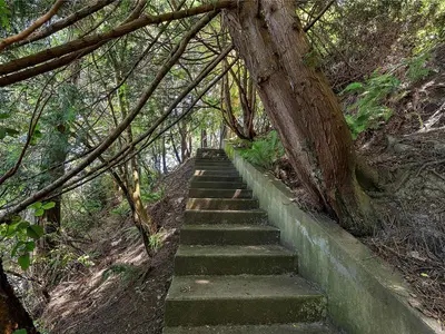 View 38
