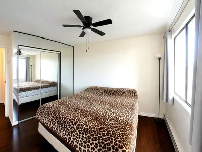 View 12