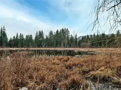 View 35