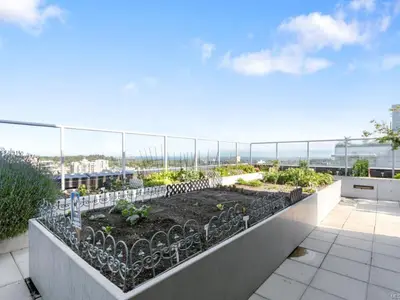 View 25
