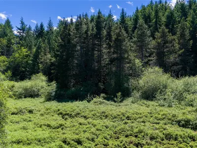 View 22