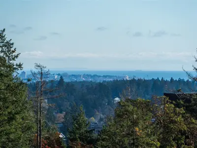 View 27