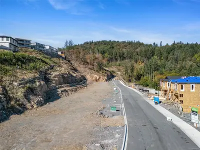 View 61
