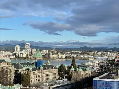 View 35