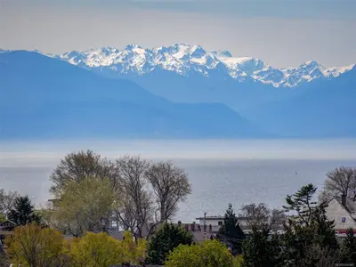 View 21